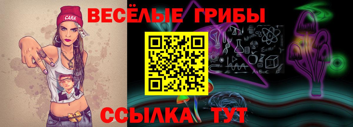 Галлюциногенные грибы Psilocybine cubensis Лениногорск