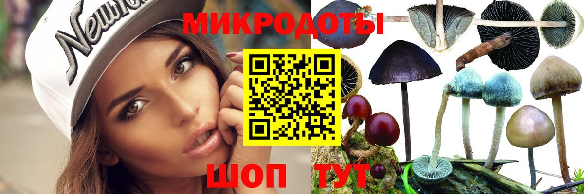 Галлюциногенные грибы мицелий  Вход с VPN  Лениногорск  Галлюциногенные грибы прущие грибы 